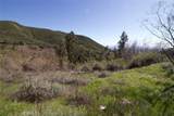 2210 Bailey Canyon Road - Photo 9