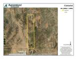 0 Cantarini Road - Photo 2