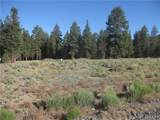 2824 Erwin Ranch Road - Photo 3