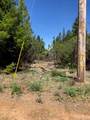 6736 Harrington Flat Road - Photo 4