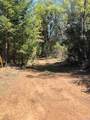 6736 Harrington Flat Road - Photo 5