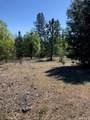6736 Harrington Flat Road - Photo 9