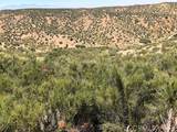 0 Dukes Country Road - Photo 15