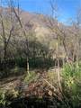 0 Four Trees Road - Photo 7