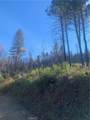 0 Four Trees Road - Photo 8