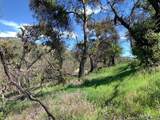 0 Cachagua - Photo 13