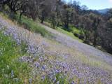0 Cachagua - Photo 5