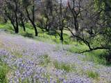 0 Cachagua - Photo 6