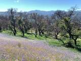 0 Cachagua - Photo 8
