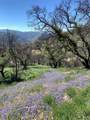 0 Cachagua - Photo 9