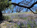 0 Cachagua - Photo 10