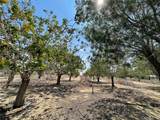 10849 Barstow Road - Photo 5