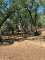4896 Malibu Drive - Photo 1
