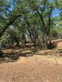 4896 Malibu Drive - Photo 2