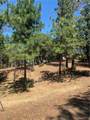 4896 Malibu Drive - Photo 3