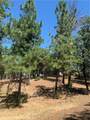 4896 Malibu Drive - Photo 4