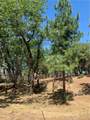4896 Malibu Drive - Photo 5