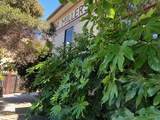 418 Cedar Street - Photo 11