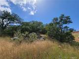 0 Lions Lair - Photo 12