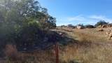 0 Lions Lair - Photo 13