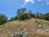 0 Lions Lair - Photo 5