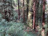 0 Helen Way - Photo 3