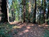 0 Santa Ana Road - Photo 1