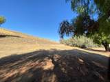 0 Airline Highway - Photo 6