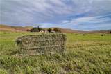 13625 Ea Hwy 46 - Photo 12