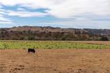 13625 Ea Hwy 46 - Photo 2