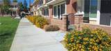 16852 Muscatel - Photo 34