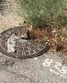 0 Prospect Drive - Photo 4