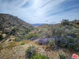 20 Omega Trail - Photo 7