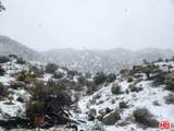20 Omega Trail - Photo 9