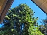 16885 Laurel Road - Photo 26