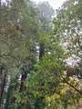 16885 Laurel Road - Photo 31
