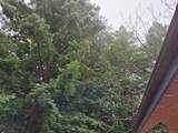 16885 Laurel Road - Photo 34