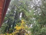 16885 Laurel Road - Photo 35