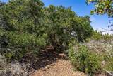 1210 Bayview Heights Drive - Photo 21