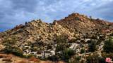 10 Omega Trail - Photo 1