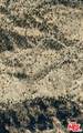 10 Omega Trail - Photo 16