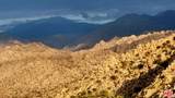 10 Omega Trail - Photo 26