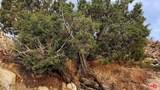 10 Omega Trail - Photo 30