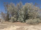 42797 Navajo - Photo 10
