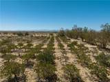 42797 Navajo - Photo 11