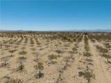 42797 Navajo - Photo 14