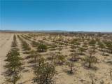 42797 Navajo - Photo 17