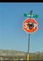 0 Reagan Road - Photo 2