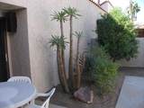 107 Racquet Club Drive - Photo 31