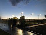 31 Via Corvina(Lake Las Vegas, Henderson) - Photo 70